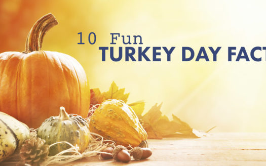 10 Fun Turkey Day Facts