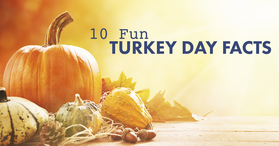 10 Fun Turkey Day Facts