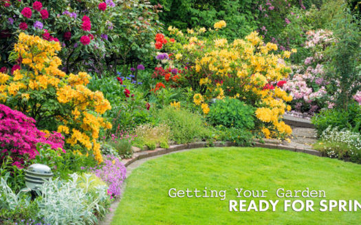 getting your garden ready for spring