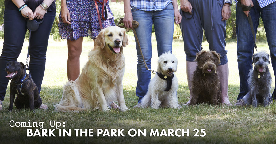 bark in the park