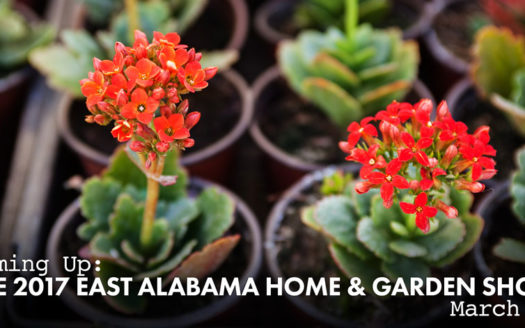 2017 east alabama home & garden show