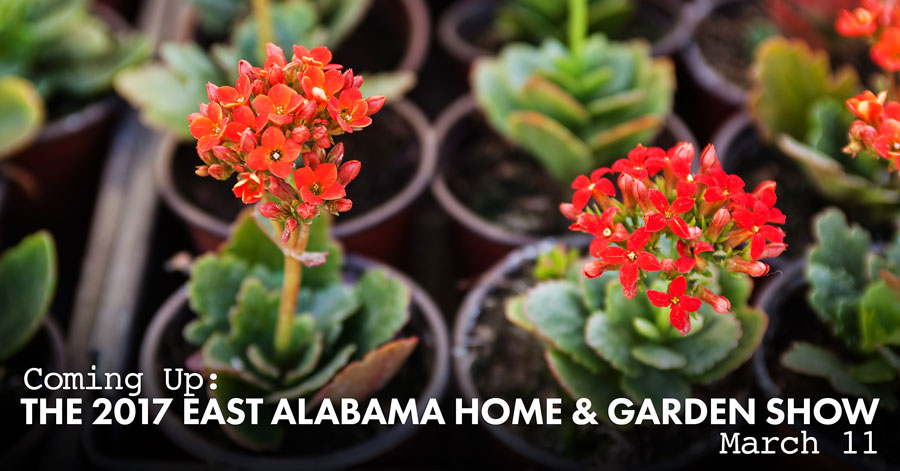 2017 east alabama home & garden show