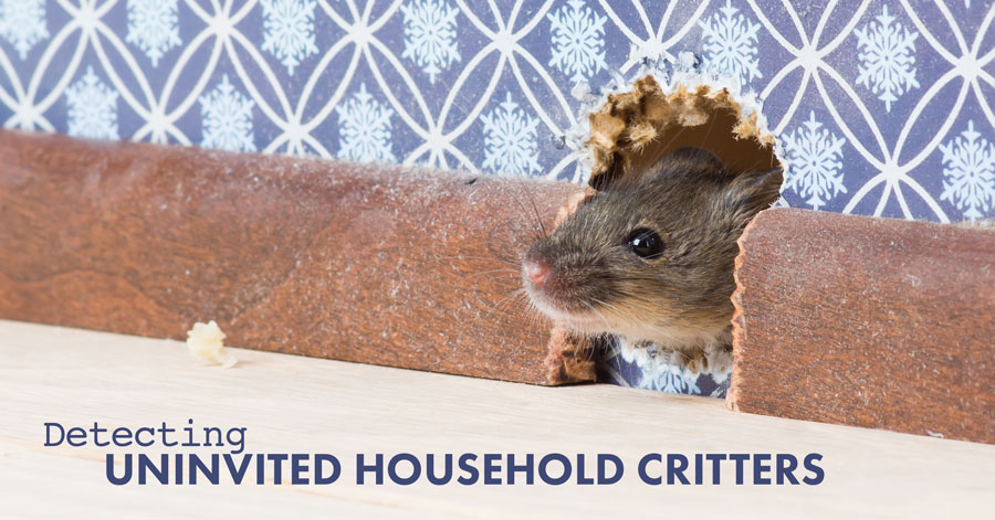 uninvited household critters