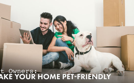 make your home pet friendly