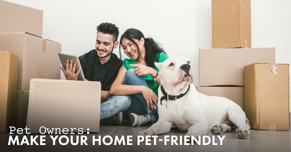 make your home pet friendly