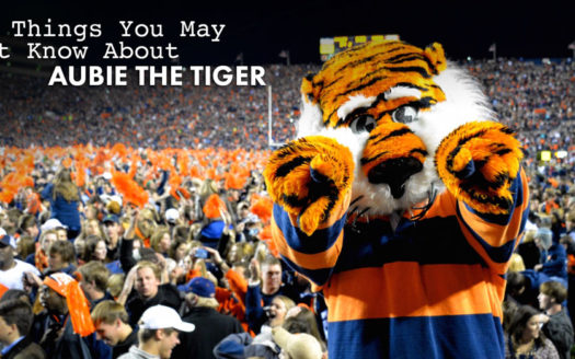 Aubie the Tiger