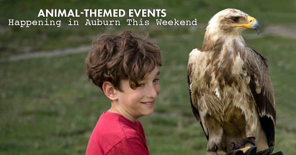 animal-themed events happening in Auburn