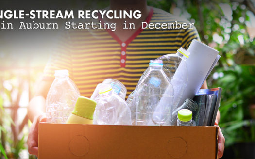 single-stream recycling in Auburn