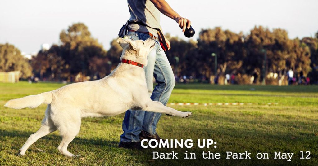 Bark in the Park