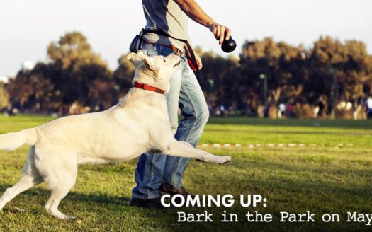 Bark in the Park