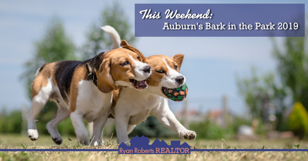 Auburn's Bark in the Park 2019 at Kiesel Park