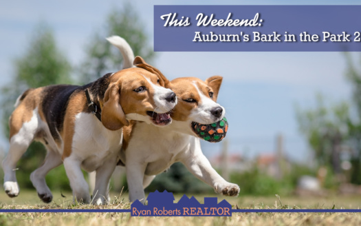 Auburn's Bark in the Park 2019 at Kiesel Park