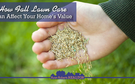 how fall lawn care can affect your home's value