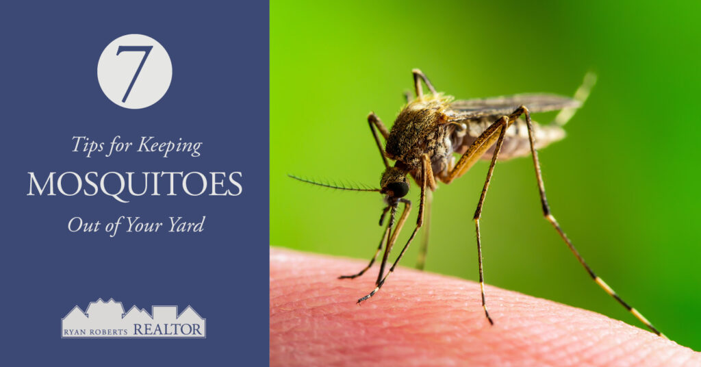 Tips for Keeping Mosquitoes Out of Your Yard