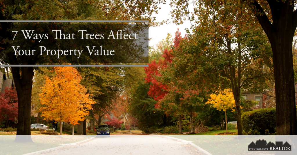 Ways That Trees Affect Your Property Value