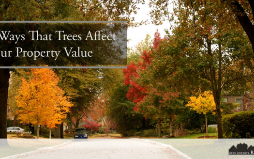 Ways That Trees Affect Your Property Value