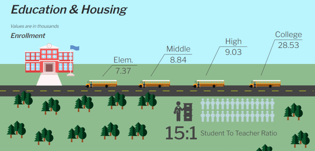 community snapshot of Lee County from MBS Highway