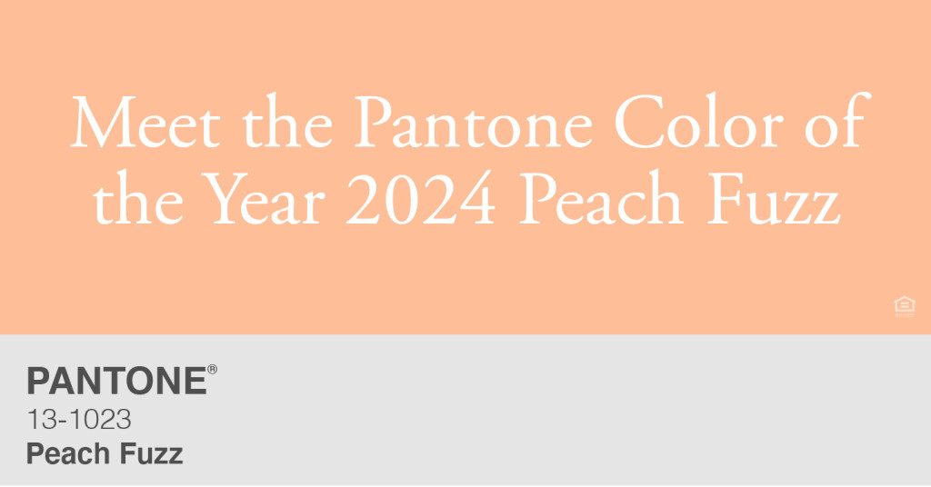 Pantone Color of the Year 2024 Peach Fuzz