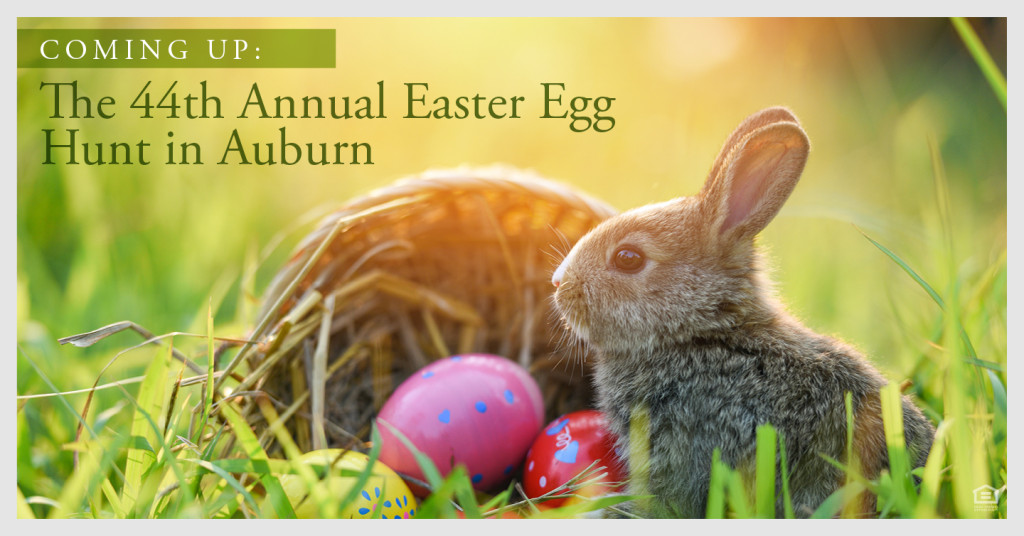 the 44th Annual Easter Egg Hunt in Auburn