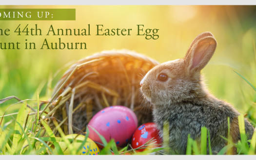 the 44th Annual Easter Egg Hunt in Auburn